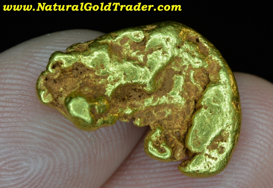 9.57 Gram Coloma California Natural Gold Nugget