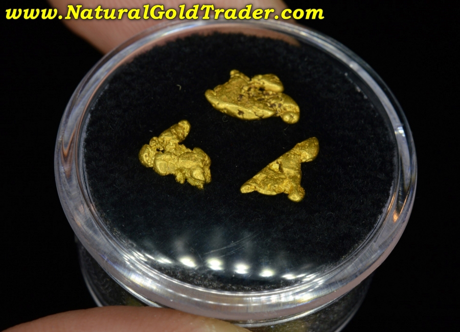 1.26 Grams (3) Coloma California Natural Gold Nuggets