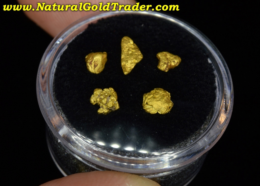 1.30 Grams (5) Coloma California Chunky Gold Nuggets