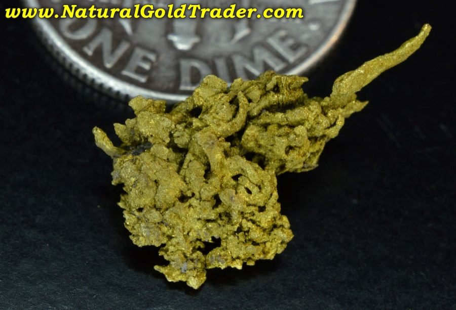 1.48 Gram Boise Basin Idaho Wire-Gold Specimen