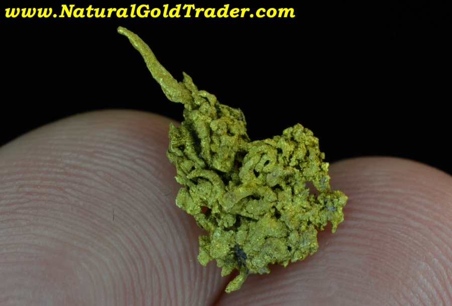1.48 Gram Boise Basin Idaho Wire-Gold Specimen