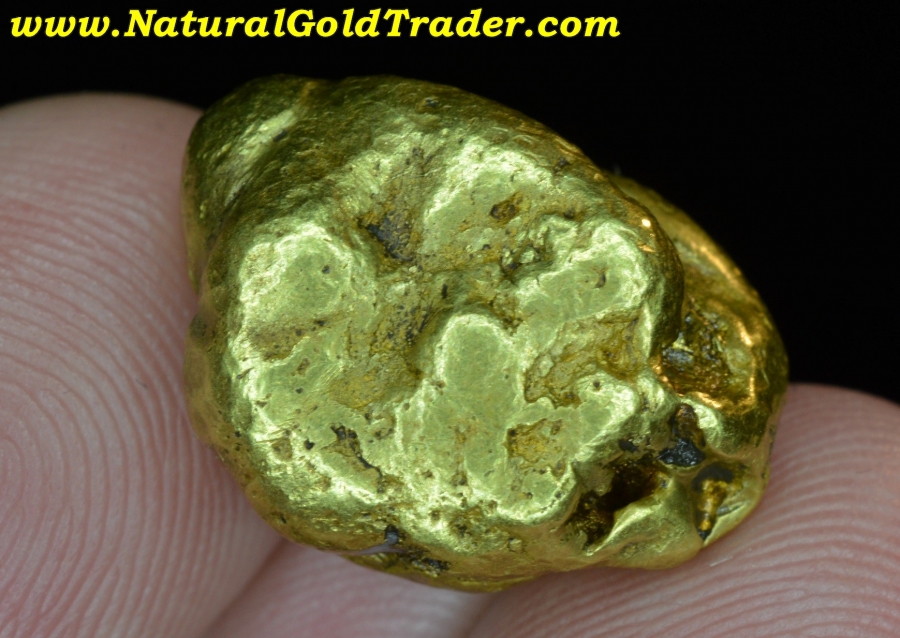 25.10 Gram Fairbanks Alaska Round & Dense Gold Nugget