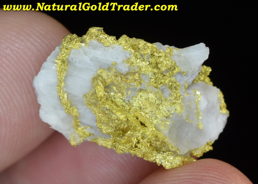 4.60 Gram Carson Hill California Calaveras Gold & Quartz Nugget