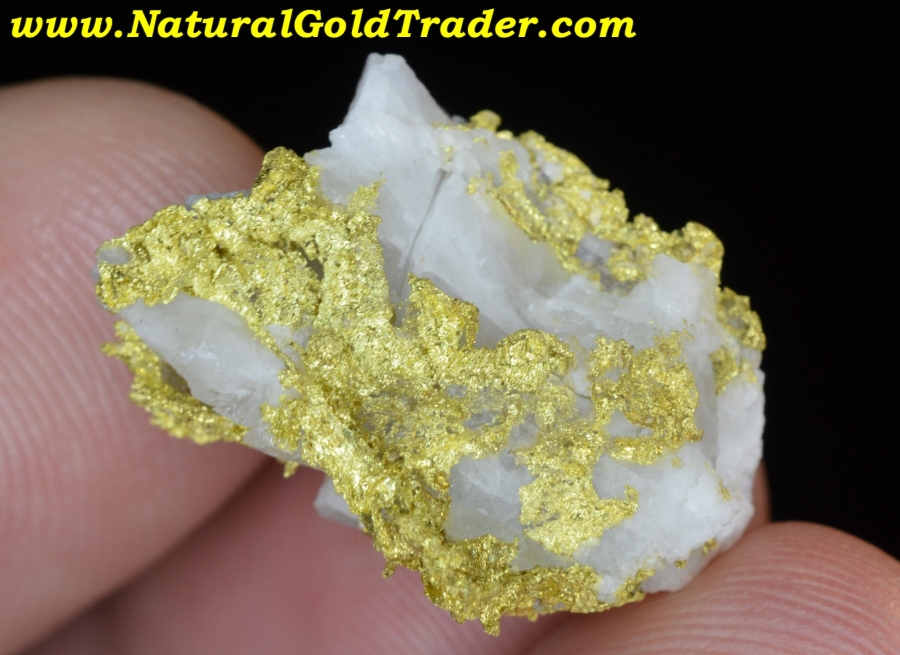 4.60 Gram Carson Hill California Calaveras Gold & Quartz Nugget