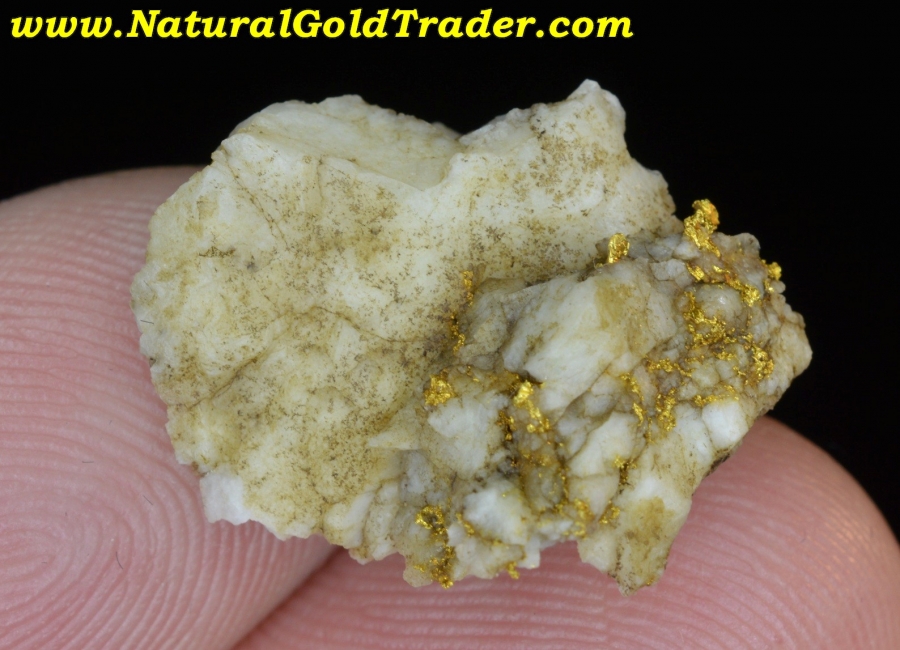 3.77 Gram Canyon City Oregon Gold & Quartz Specimen