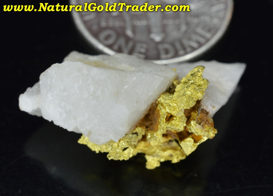 3.10 Gram Coloma California Gold & Quartz Specimen