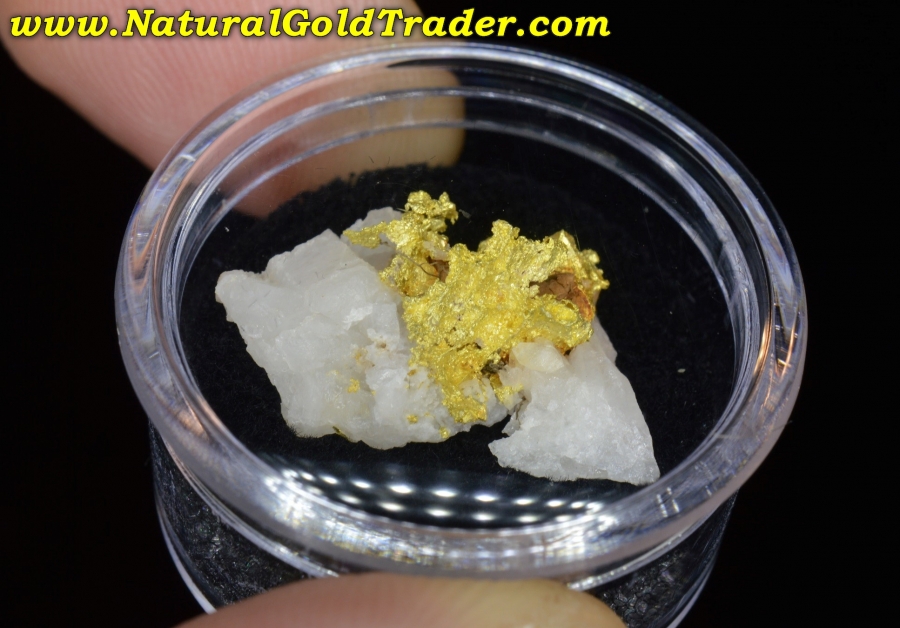 3.10 Gram Coloma California Gold & Quartz Specimen
