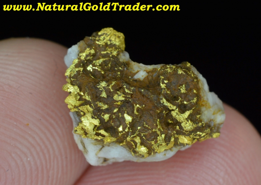 3.42 Gram Natural California Gold & Quartz Specimen