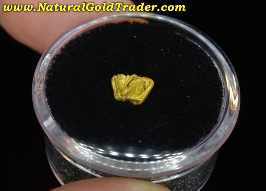 .44 Gram Rye Patch Nevada Chevron Gold Specimen